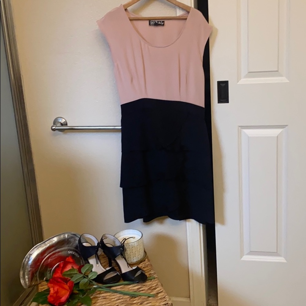 Anlo Silk Two Tone Dress